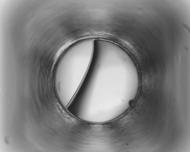 X0000100221172200805300741