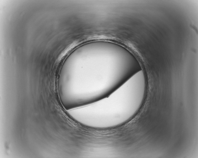 X0000100221173200805300741