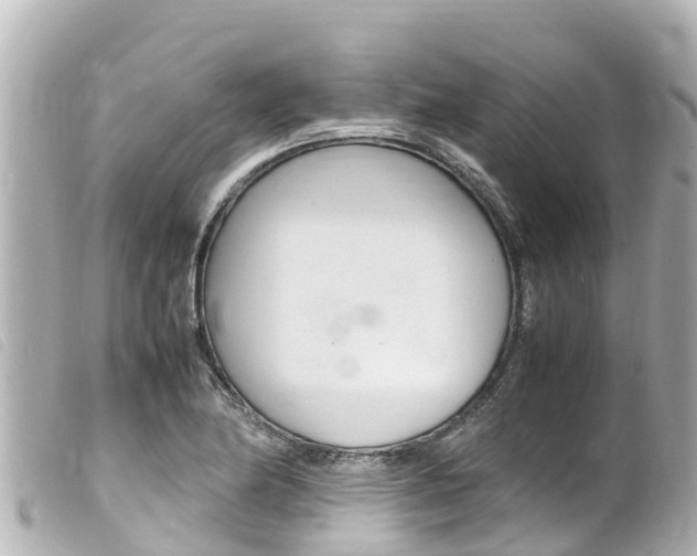 X0000100221174200805300741