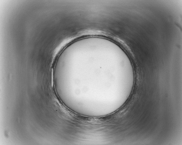 X0000100221175200805300741