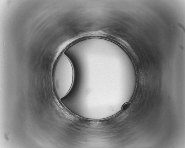 X0000100221176200805300741