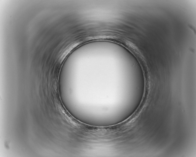 X0000100221177200805300741
