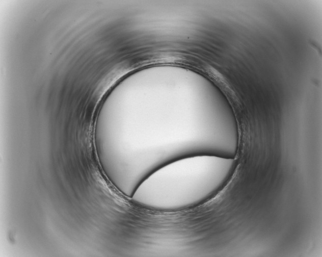 X0000100221178200805300741