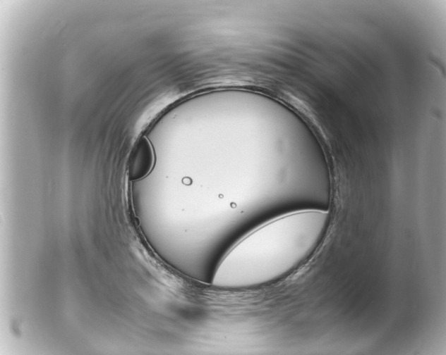 X0000100221179200805300741