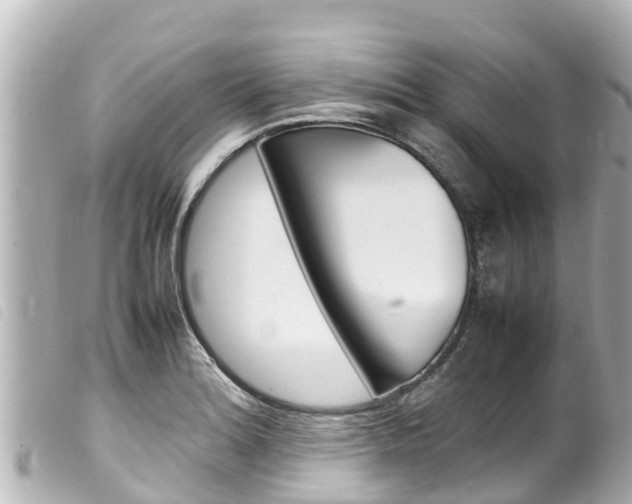 X0000100221180200805300741