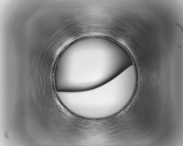 X0000100221181200805300741