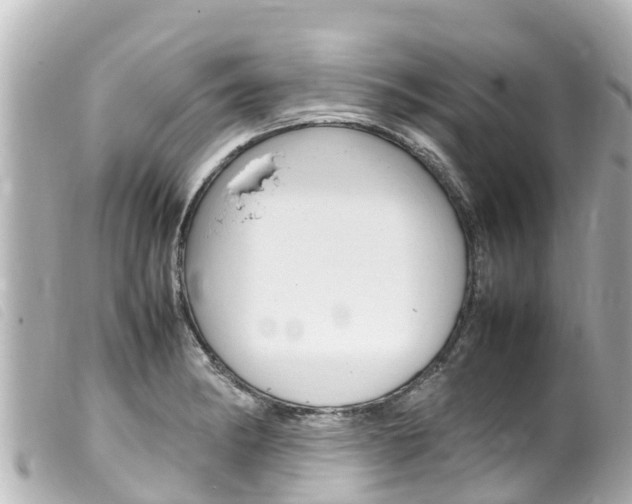 X0000100221182200805300741