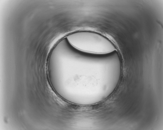 X0000100221183200805300741