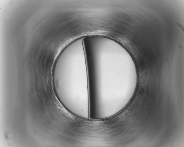 X0000100221184200805300741