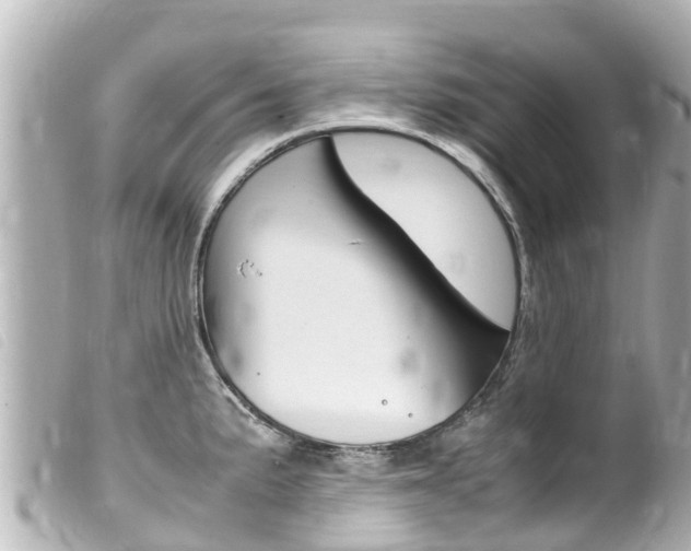 X0000100221191200805300741