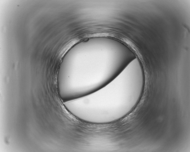 X0000100221193200805300741