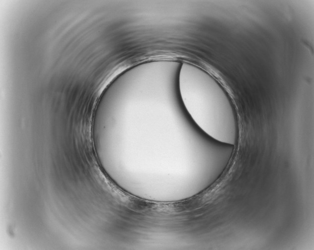 X0000100221194200805300741