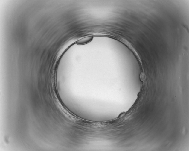 X0000100221195200805300741