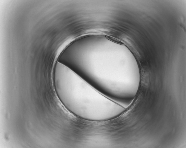 X0000100221196200805300741