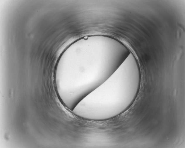 X0000100221197200805300741