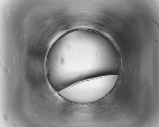 X0000100221199200805300741