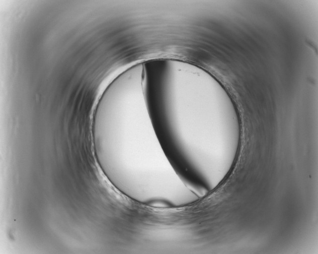 X0000100221200200805300741