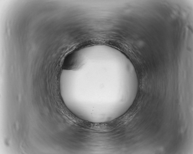 X0000100221201200805300740