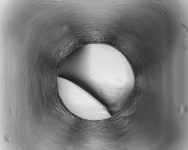 X0000100221202200805300740