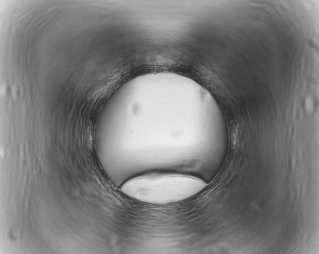 X0000100221204200805300740