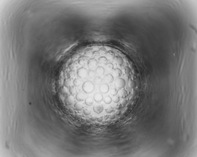 X0000100221205200805300740