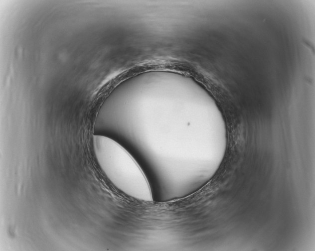 X0000100221206200805300740