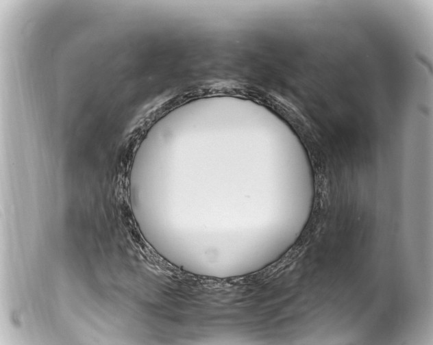 X0000100221207200805300740
