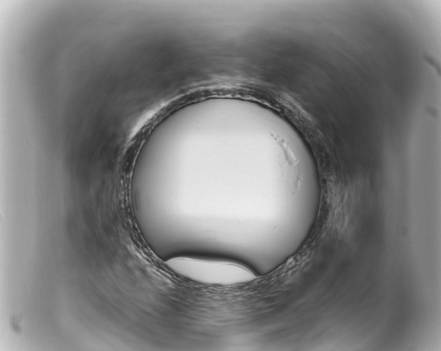 X0000100221208200805300740