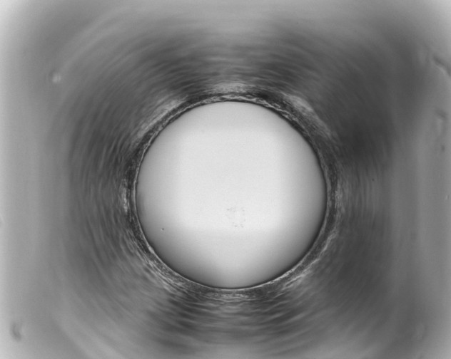 X0000100221209200805300740