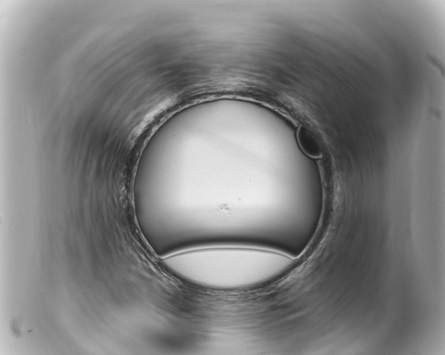 X0000100221210200805300740