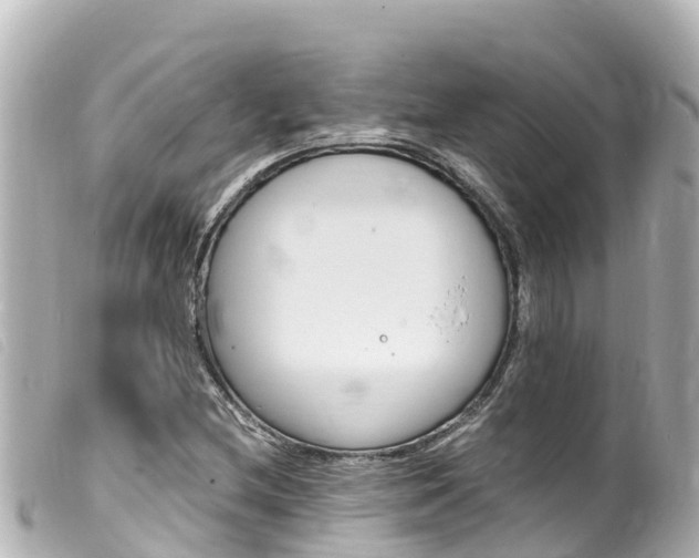 X0000100221212200805300740