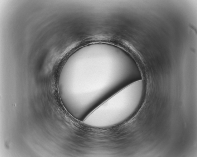 X0000100221213200805300740