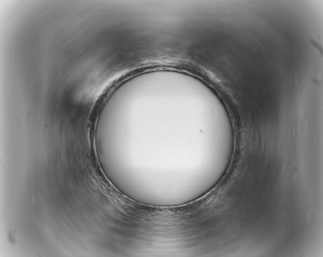 X0000100221214200805300740