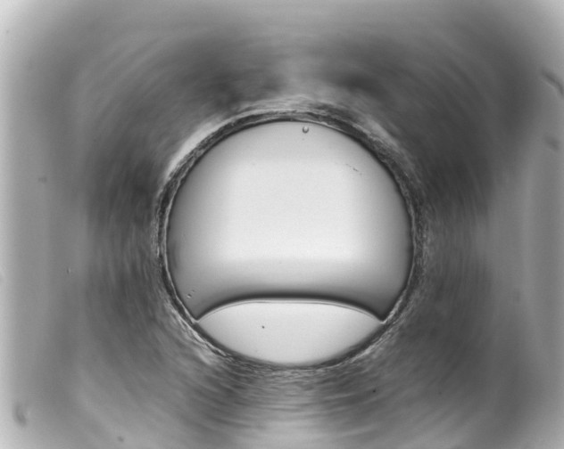 X0000100221216200805300740