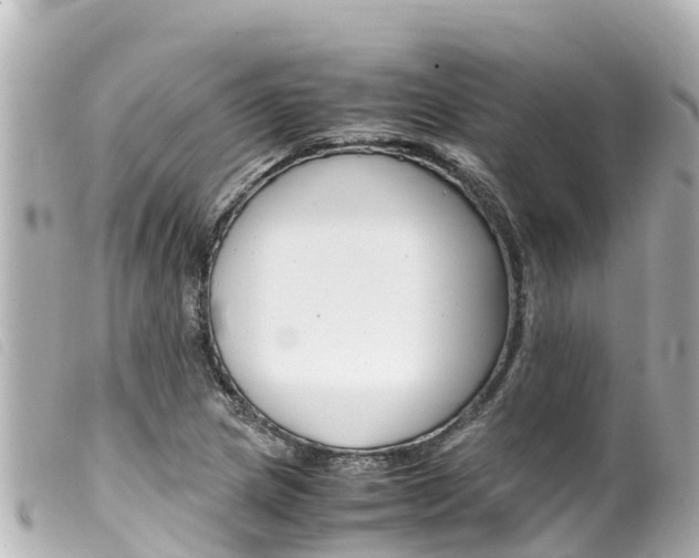 X0000100221217200805300740