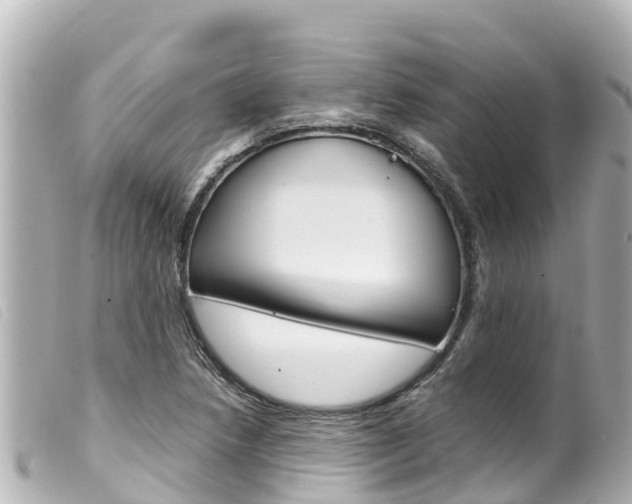 X0000100221218200805300740