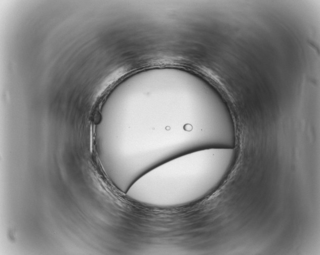 X0000100221219200805300740
