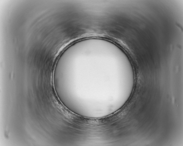 X0000100221220200805300740