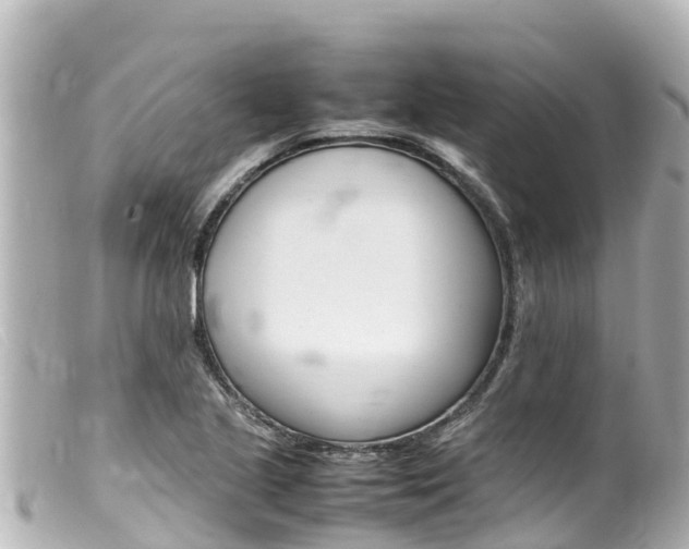 X0000100221221200805300740