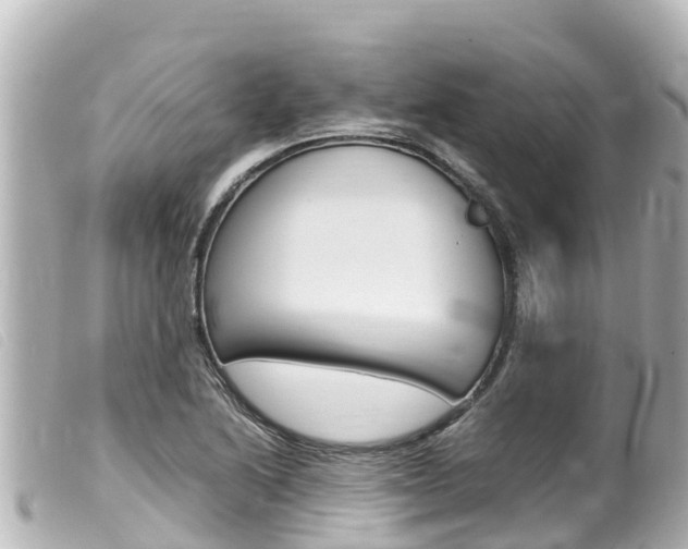 X0000100221222200805300740