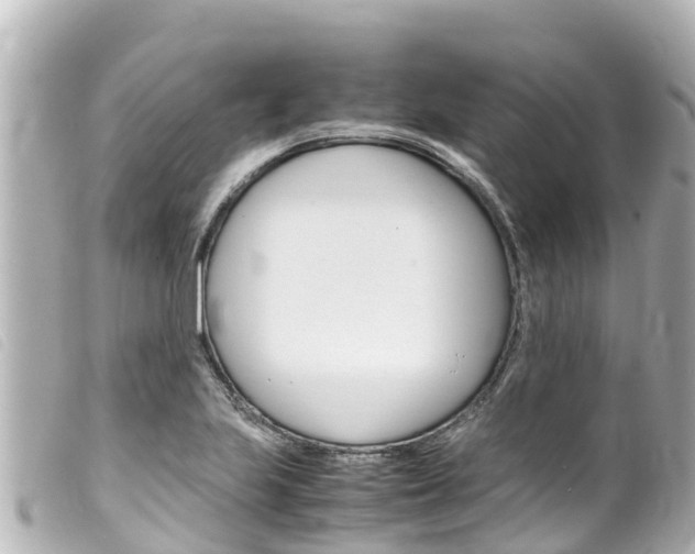X0000100221223200805300740