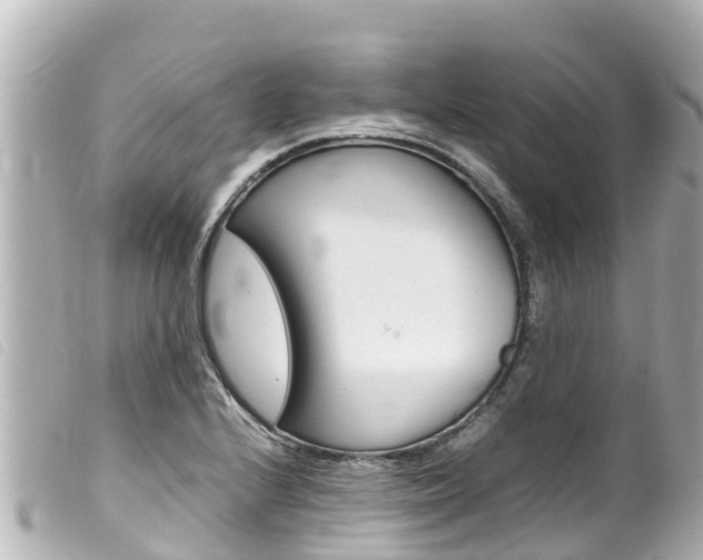 X0000100221224200805300740