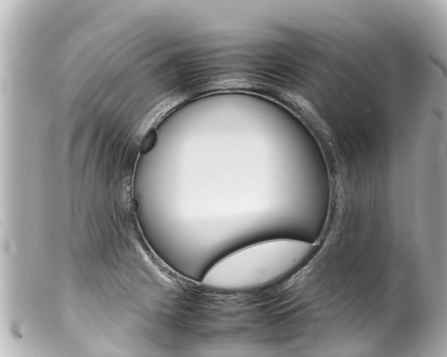 X0000100221225200805300740