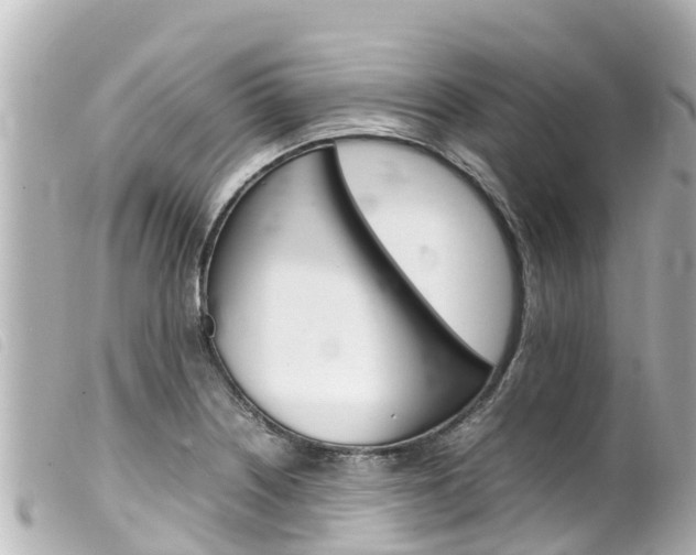 X0000100221226200805300740