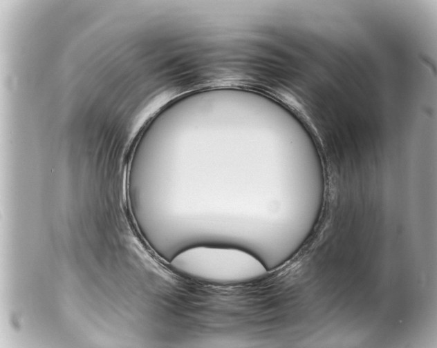 X0000100221227200805300740