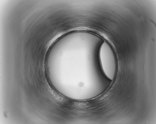 X0000100221229200805300740