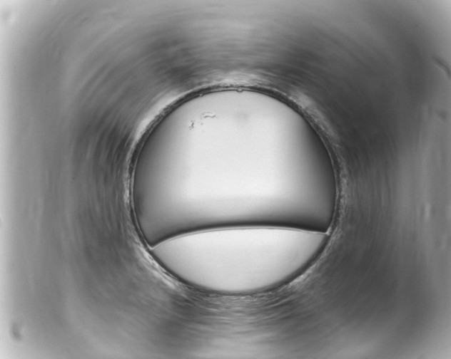 X0000100221232200805300740