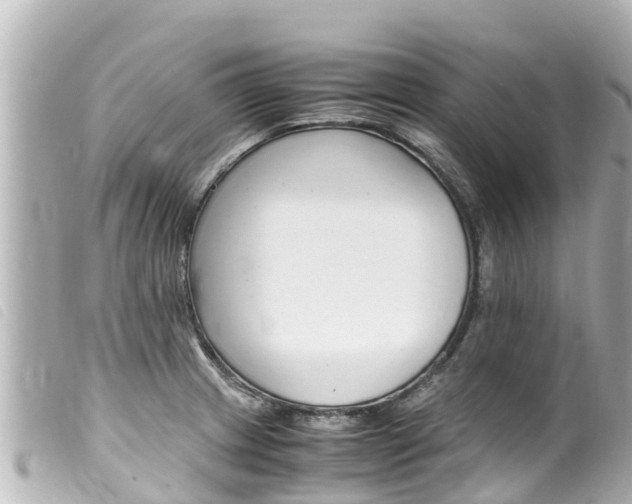 X0000100221233200805300740