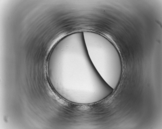 X0000100221235200805300740
