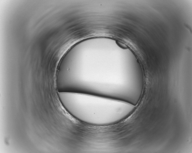 X0000100221236200805300740